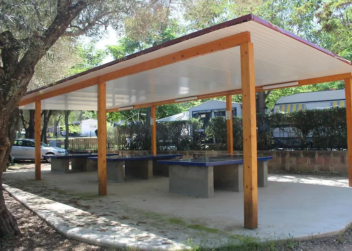 Hotel cerca del colegio: Camping Castell D'Aro